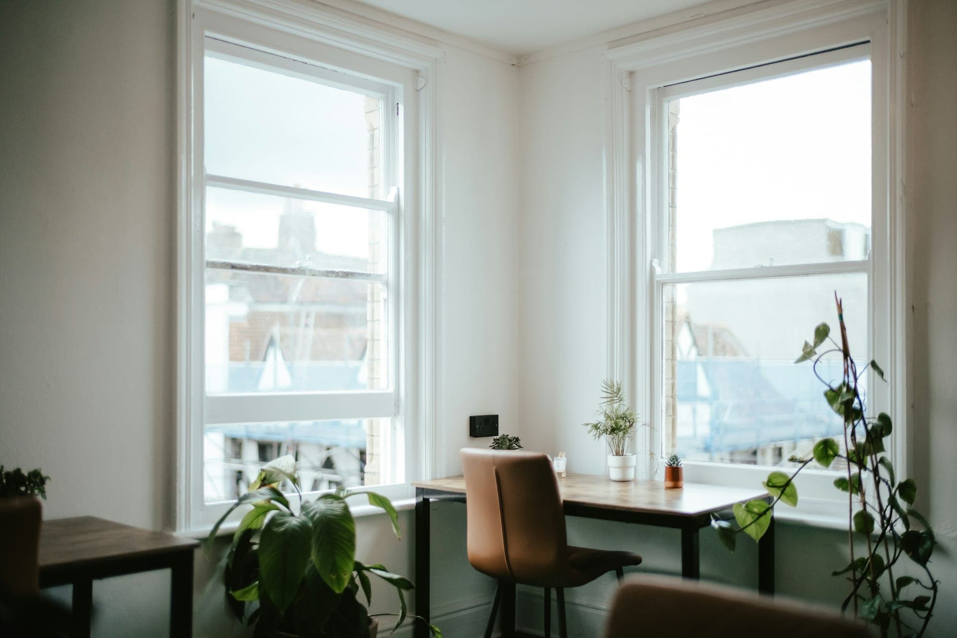 Wooden desk and brown chair in front of two tall windows, surrounded by plants